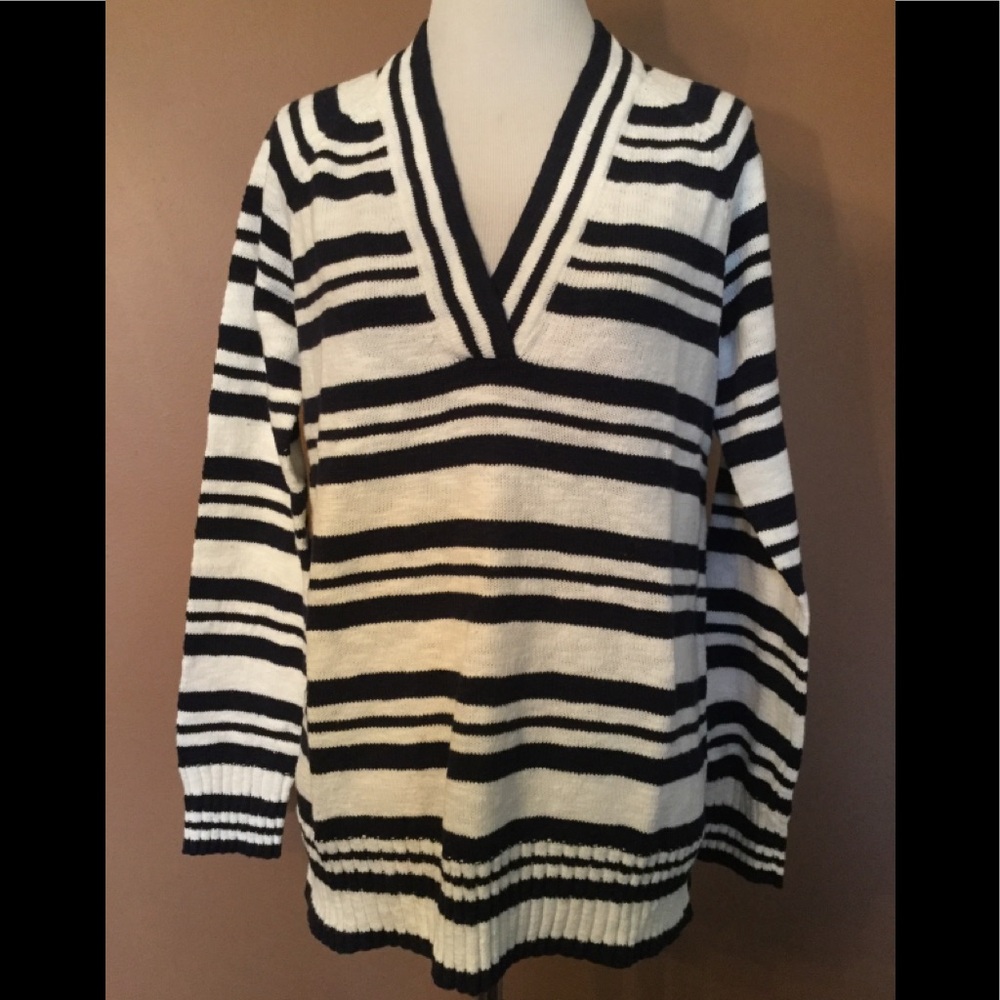Gap Blue Stripe Sweater !